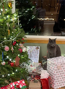 Christmas